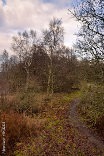 A nature trail with a beautiful sky in the background. Picture from Lund, southern Sweden
