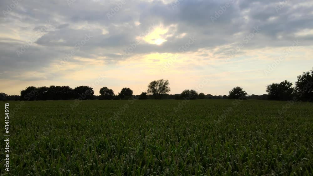 Aerial View from a grass field in nature with sun and clouds, flight, sunny, trees, forest, shadow, silhouette