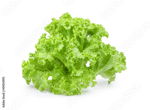fresh green lettuce salad leaves on white background