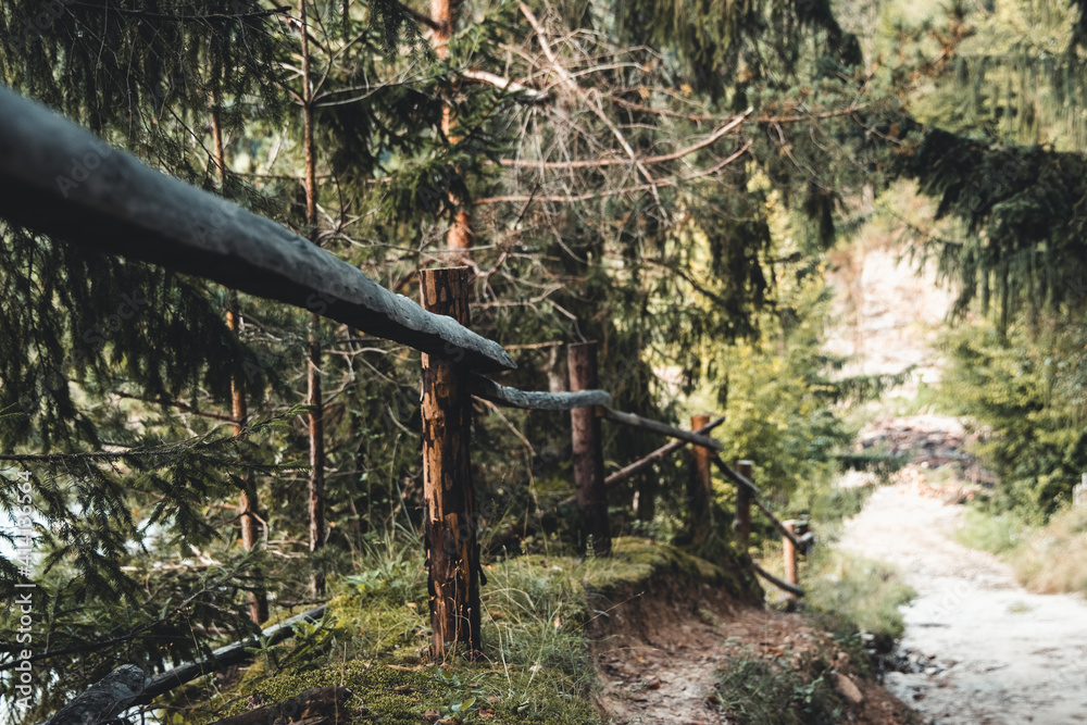 Naklejka premium stone road in a coniferous forest in the mountains