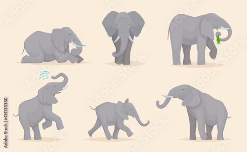 Elephant. Cute african wild animals large strong savannah elephants in various poses exact vector illustration. African elephant, wild africa mammal
