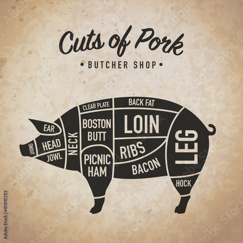 Cuts of Pork. Meat Diagram and Scheme. Poster for butcher shop. Vintage typographic. Retro style. Vector illustration.
