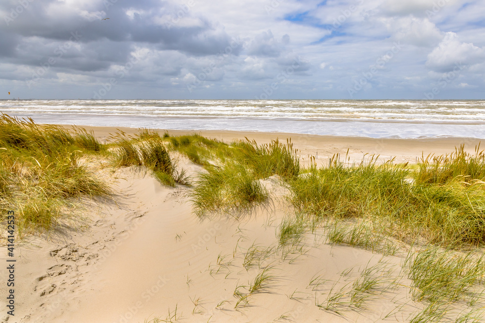 Landscape view of sand dune on the North sea coast Landscape view of sand dune on the North sea coast