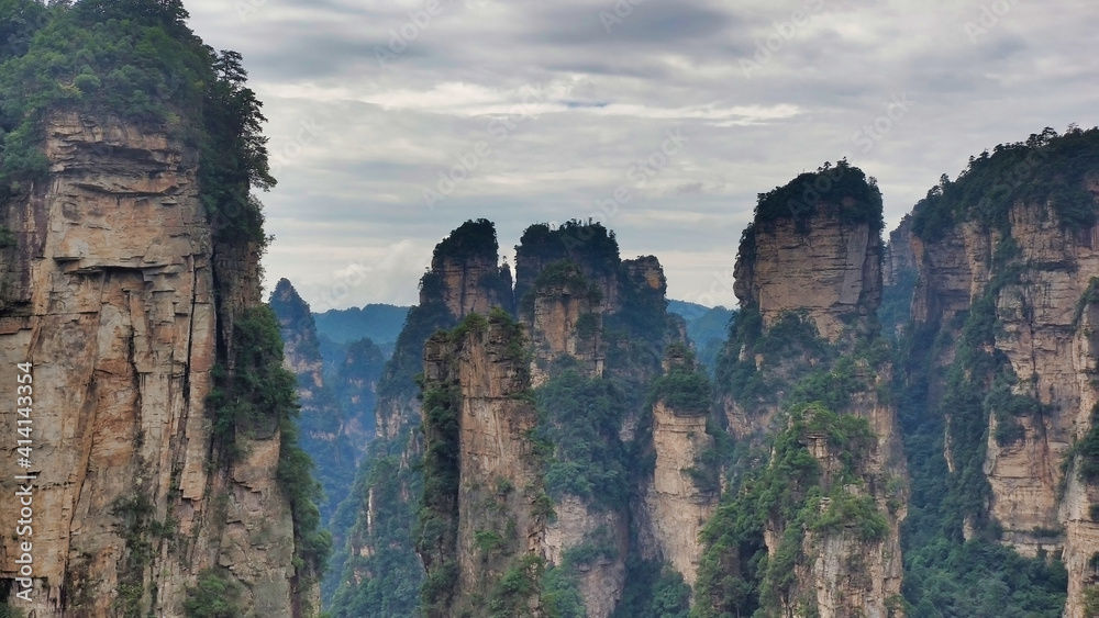 The sandstone pillars. Mountains in the national park Wulingyuan. Trees on rocks. Zhangjiajie. UNESCO World Heritage Site. China. Asia