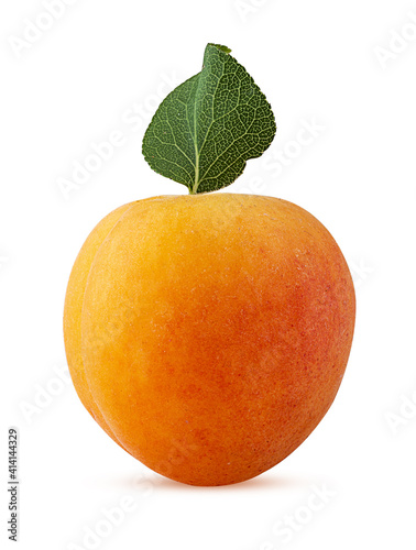 Fresh ripe apricot with leaf