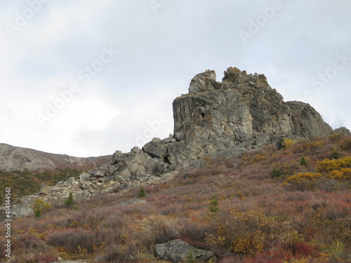 the start of the Savage Alpine Trail in the Denali National Park  McKinley  Alaska  USA  September