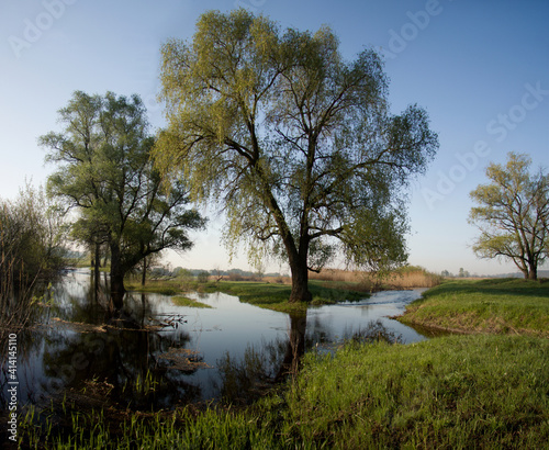 Spring landscape with an overflowing river. Spring flood