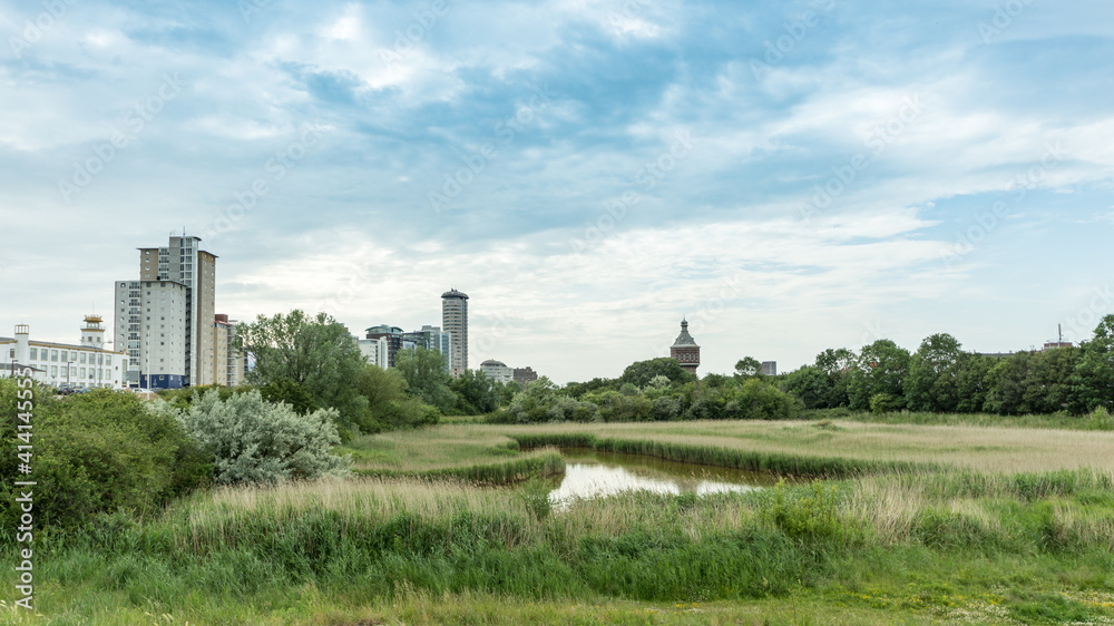 Urban landscape in Vlissingen, Netherlands -nature near the town center