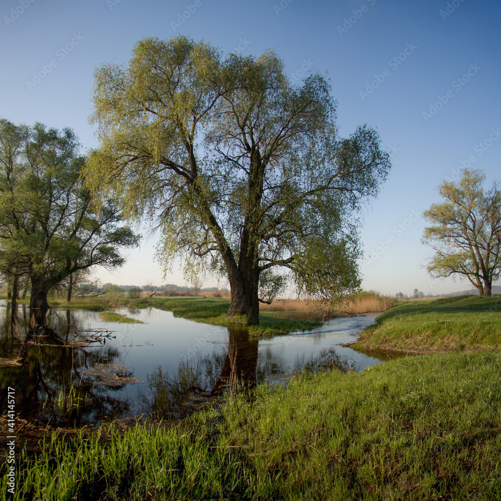 Spring landscape with an overflowing river. Spring flood Spring landscape with an overflowing river. Spring flood