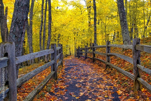 Autumn in Northern Michigan 