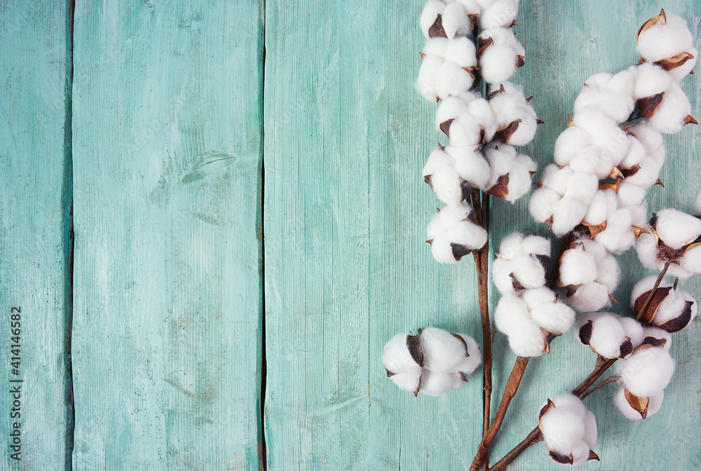 cotton twigs on turquoise surface