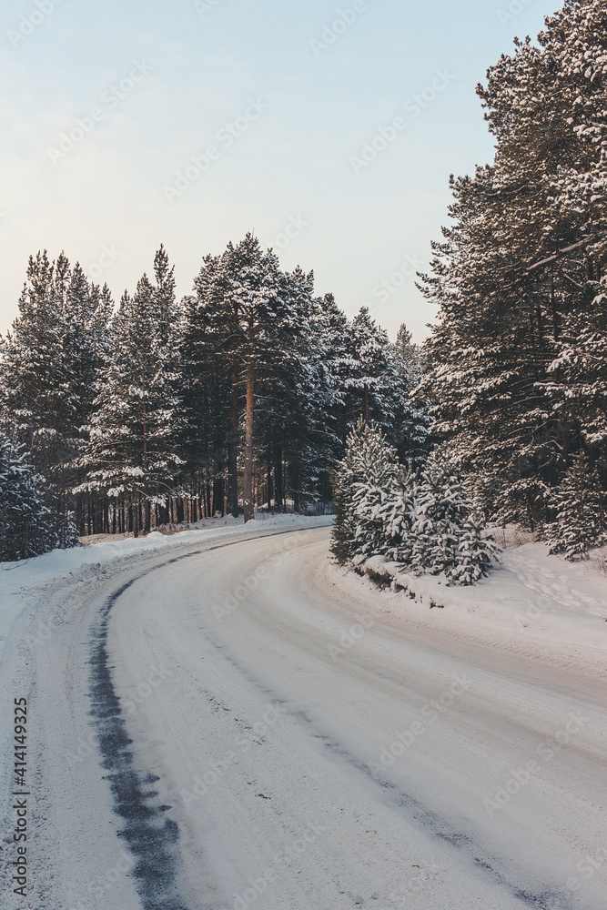 Obraz premium winter road in the forest