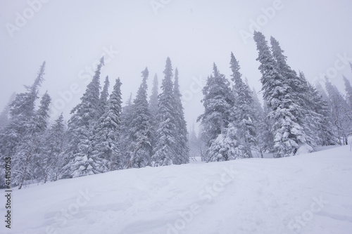 Siberian view  winter morning