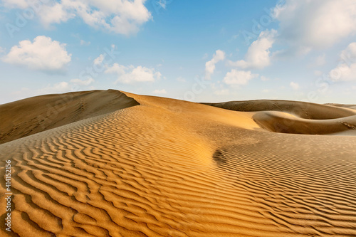 Dunes of Thar Desert  Rajasthan  India