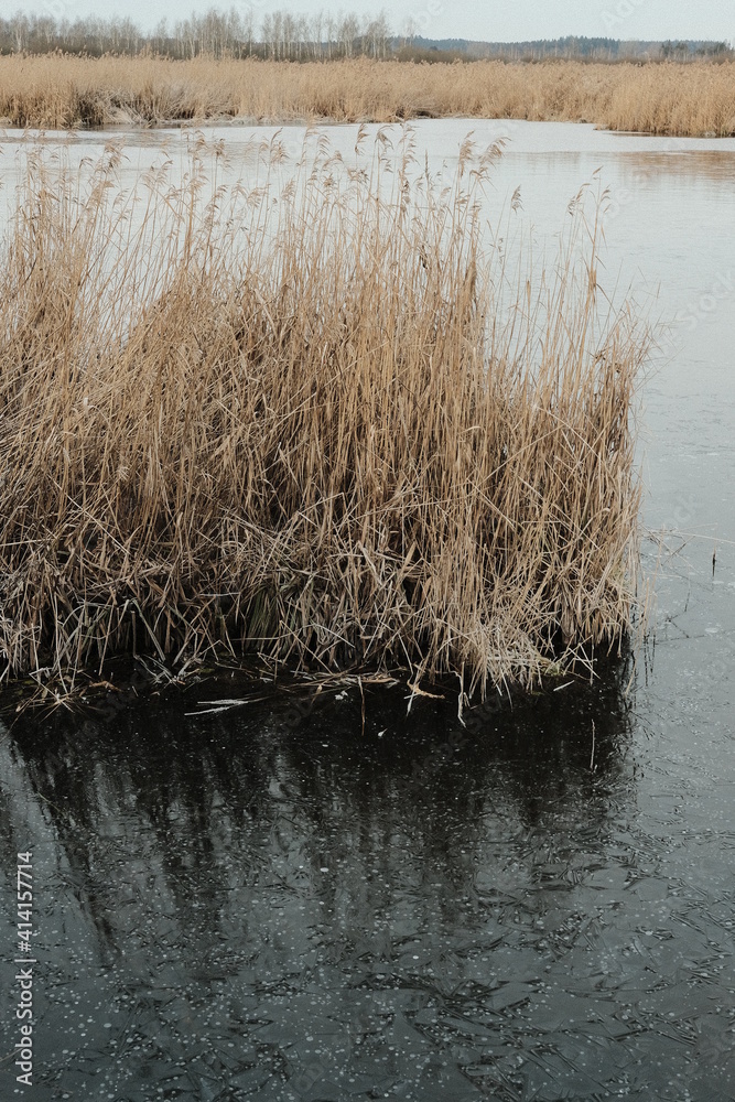 Fototapeta premium Federsee