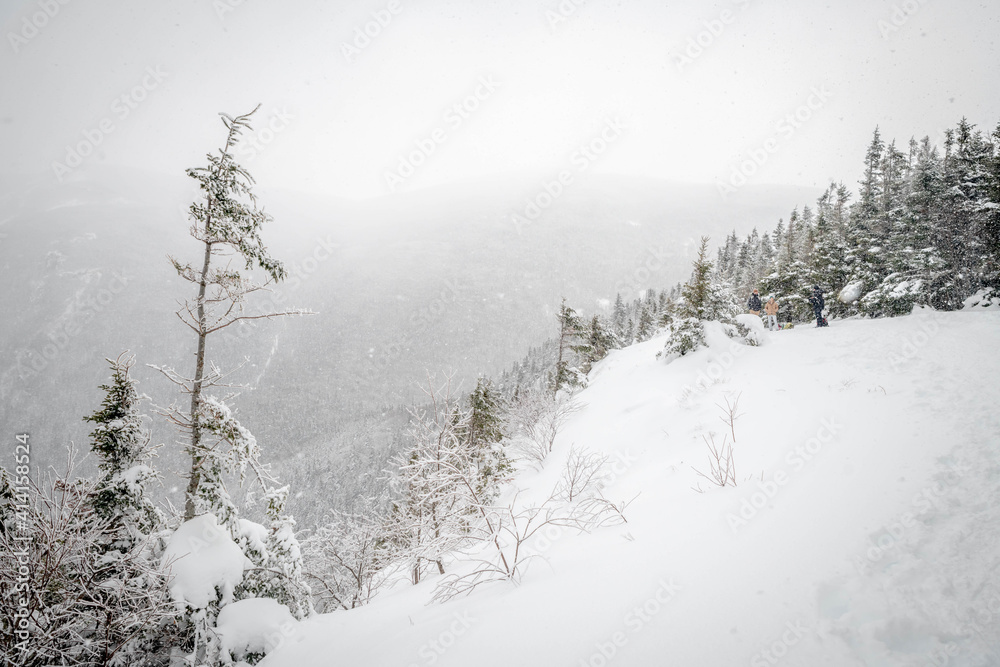 Obraz premium Snow falls steadily atop Mount Willard in NH