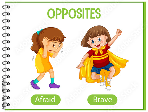 Opposite words with afraid and brave