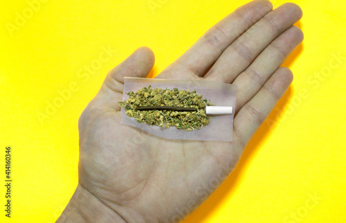 Hand holding high quality joint made with two types of cannabis preparations  hashish and weed buds. Hand with joint ready to roll on yellow.