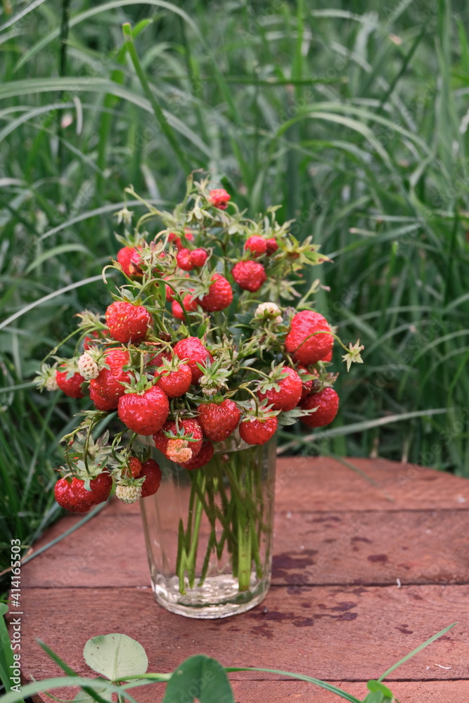 Bouquet of fresh branches with wild strawberries in old glass on wooden desk on grass background, summer day, vertical photo, vintage style