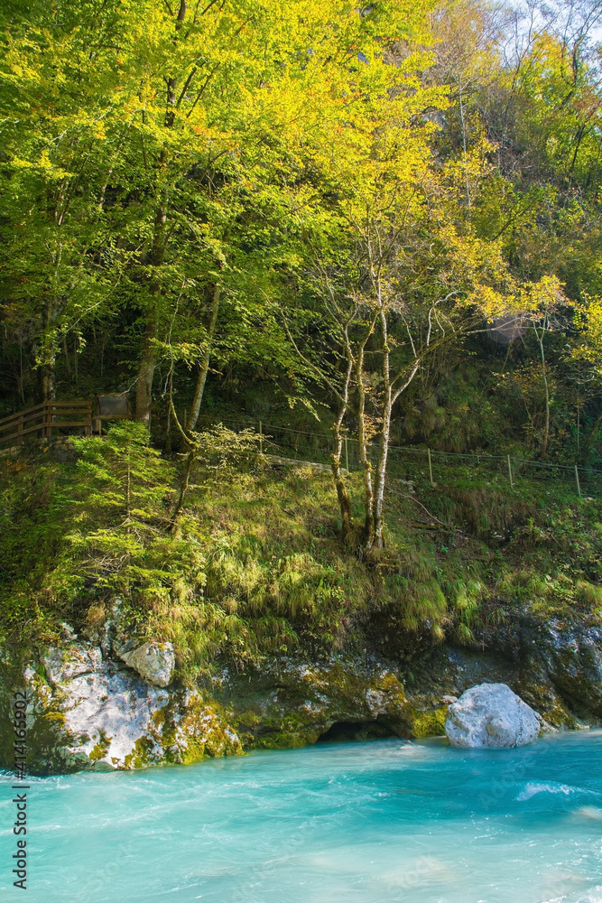 The Tolminka River flowing through Tolmin Gorge in the Triglav National Park, north western Slovenia
