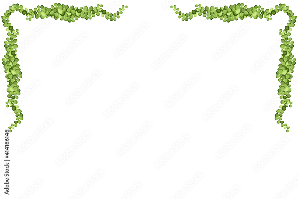 Green vine, liana or ivy hanging from above or climbing the wall.Decoration for garden or home.Template on white background. Green vine, liana or ivy hanging from above or climbing the wall.Decoration for garden or home.Template on white background.