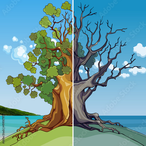cartoon tree growing on the seashore half growing green half withered