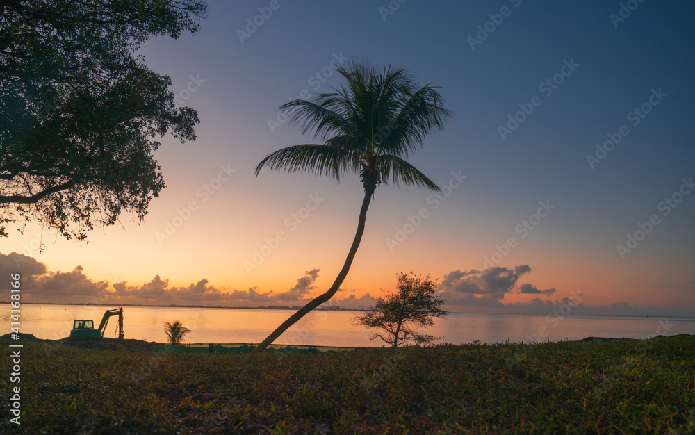 beautiful tropical sunrise miami florida horizon clouds sky sea palm tree grass sky color blue orange yellow 