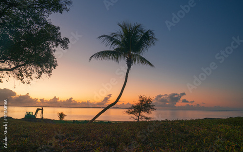 beautiful tropical sunrise miami florida horizon clouds sky sea palm tree grass sky color blue orange yellow 