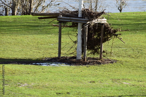 Rheinwiesen auf dem Oberwerth nach dem Hochwasser photo