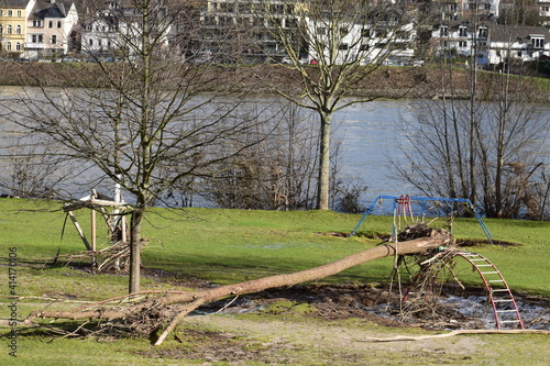 Rheinwiesen auf dem Oberwerth nach dem Hochwasser photo