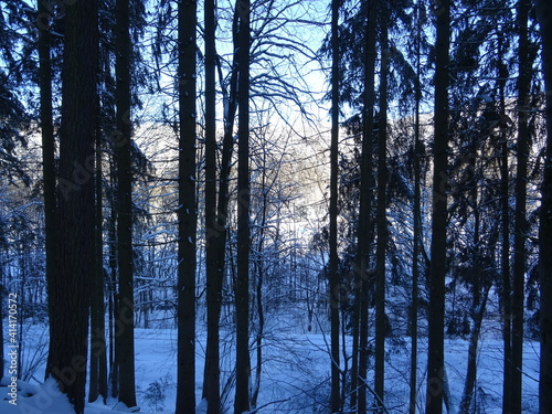 Th  ringer Wald im Winter    Thuringian Forest in Winter