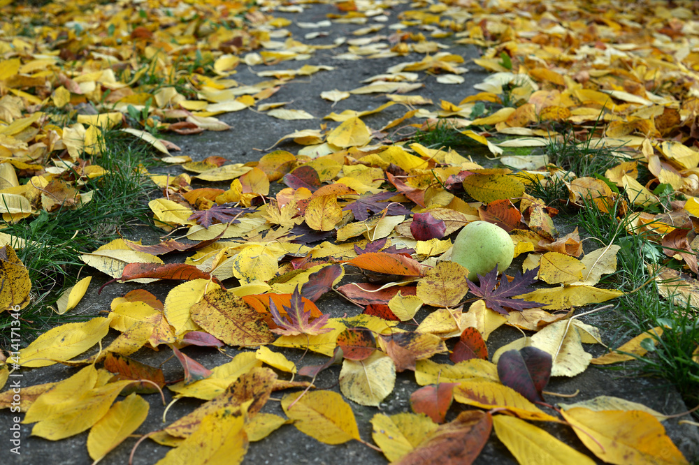 Green peer and autumn leafs on the street Green peer and autumn leafs on the street