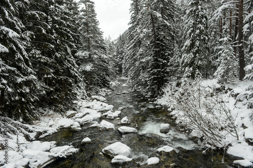 River passing winter forest landscape