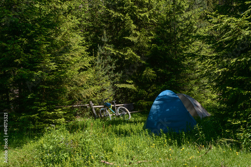 Camping tent in the forest surrounded by green trees sunny day