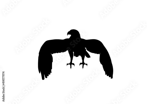 Silhouette Aquila