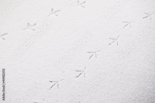 Bird footprints on white snow, winter background