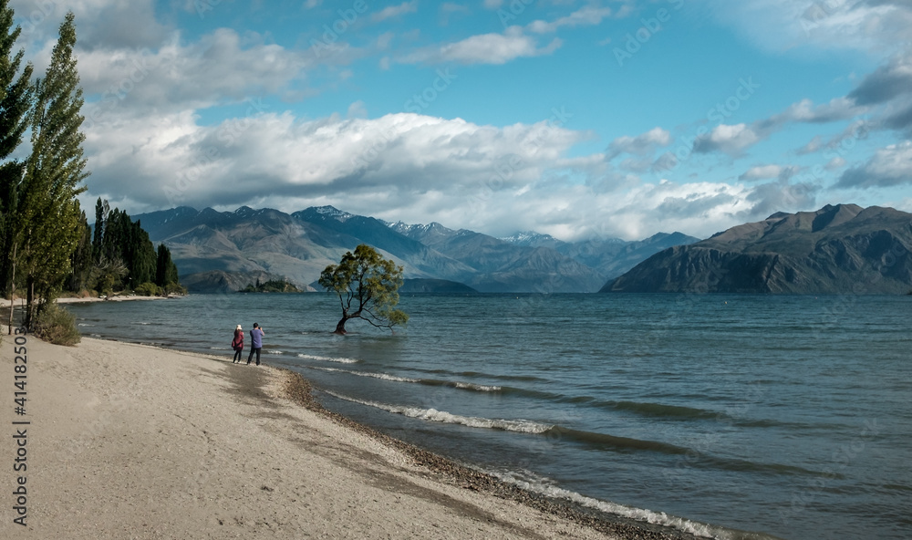 Famous Wanaka Tree in New Zealand’s lake Wanaka Famous Wanaka Tree in New Zealand’s lake Wanaka