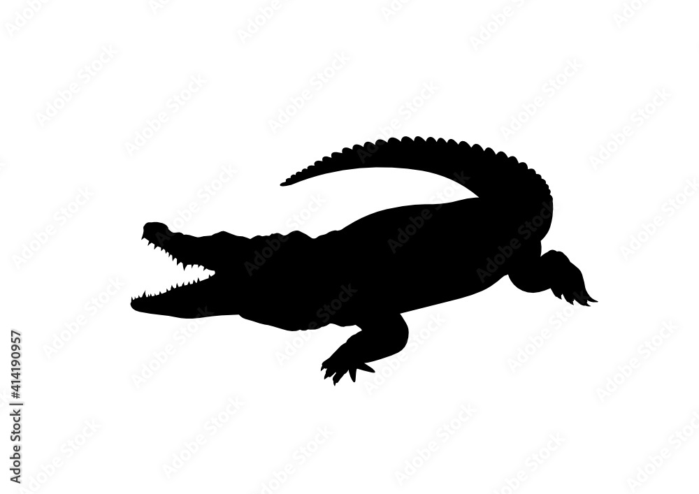 Fototapeta premium Silhouette Coccodrillo