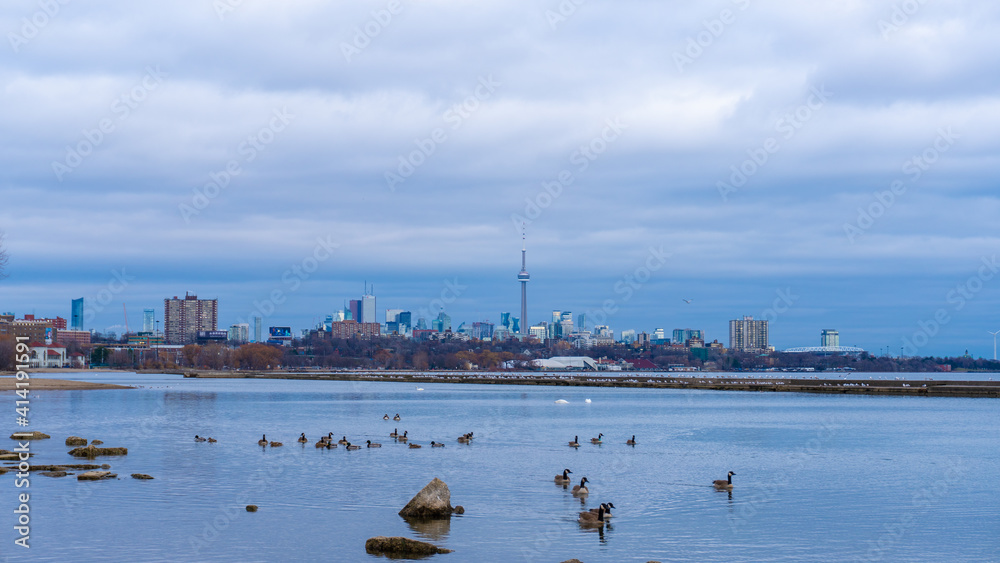 Toronto skyline from the lakeshore