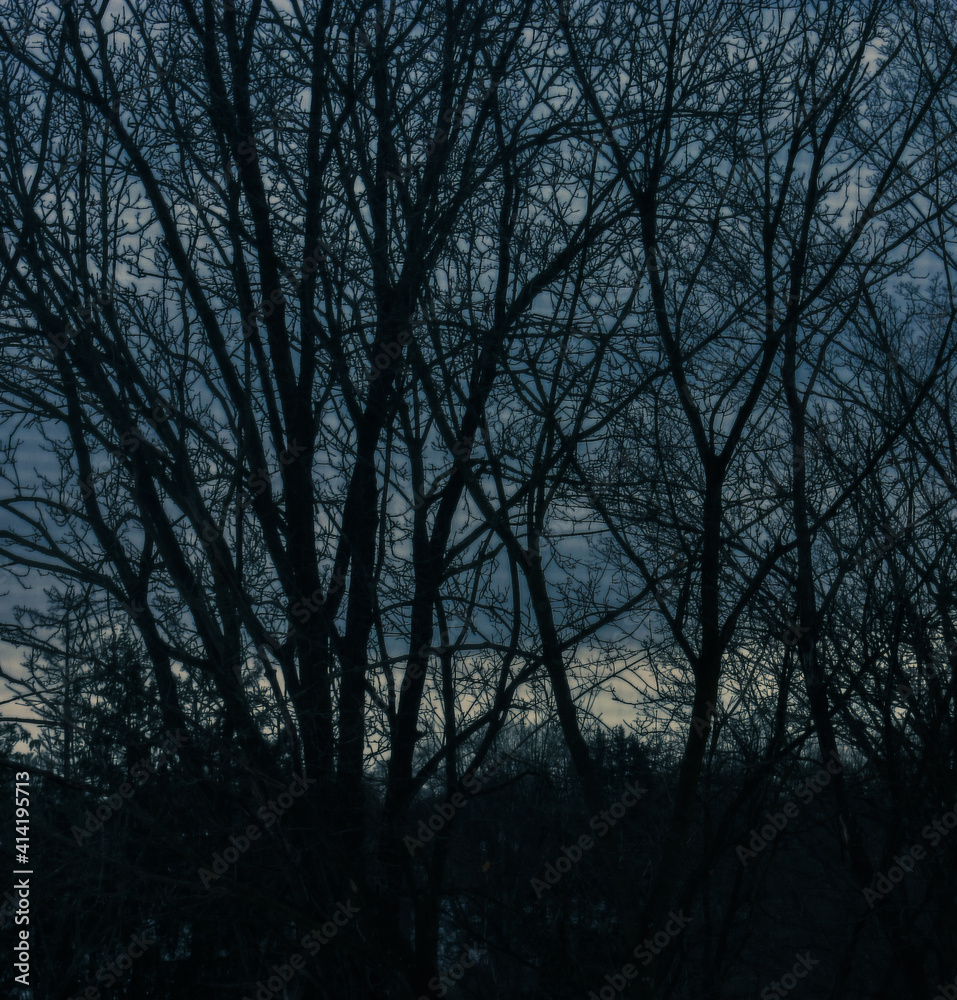 Blue Night Sky Transitioning to Evening Blue Night Sky Transitioning to Evening