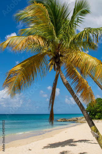 Sprat Hall Beach  St. Croix  US Virgin Islands.