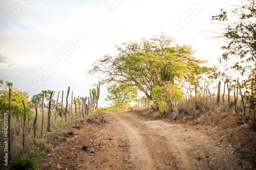 ESTRADA TÍPICA NO NORDESTE DO BRASIL