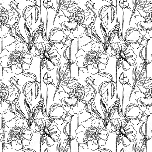 Seamless pattern with peonies  graphics 