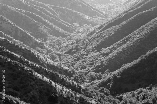 Black and white view of Dev...