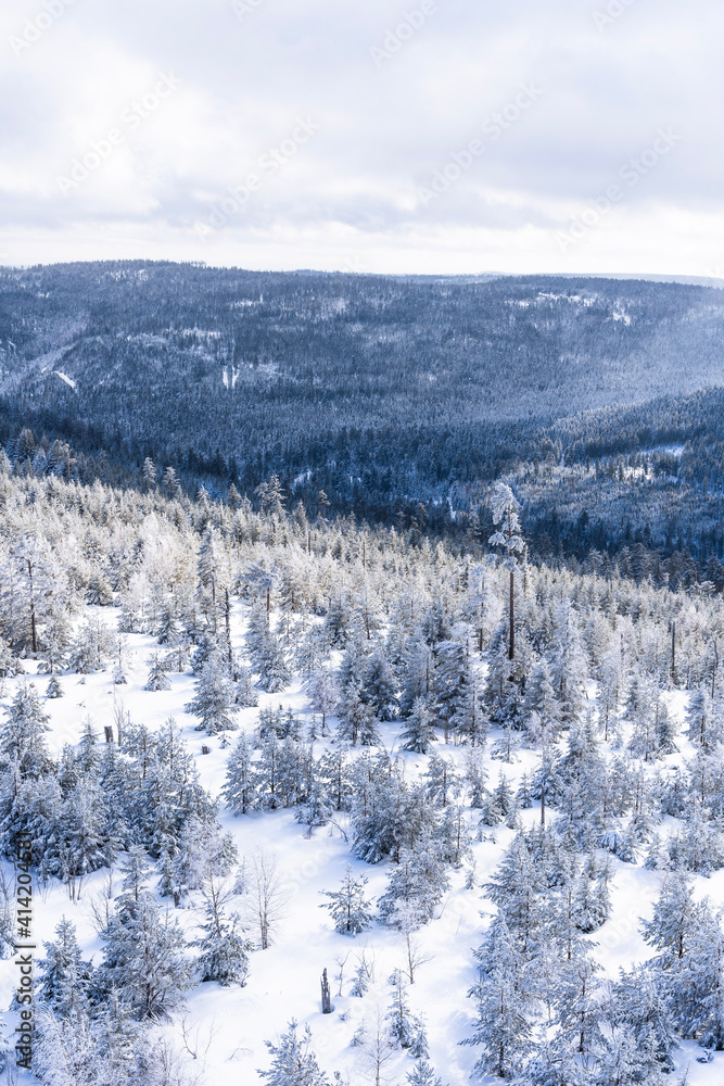 Winter scenery with snow covered land and trees. Winter scenery with snow covered land and trees.