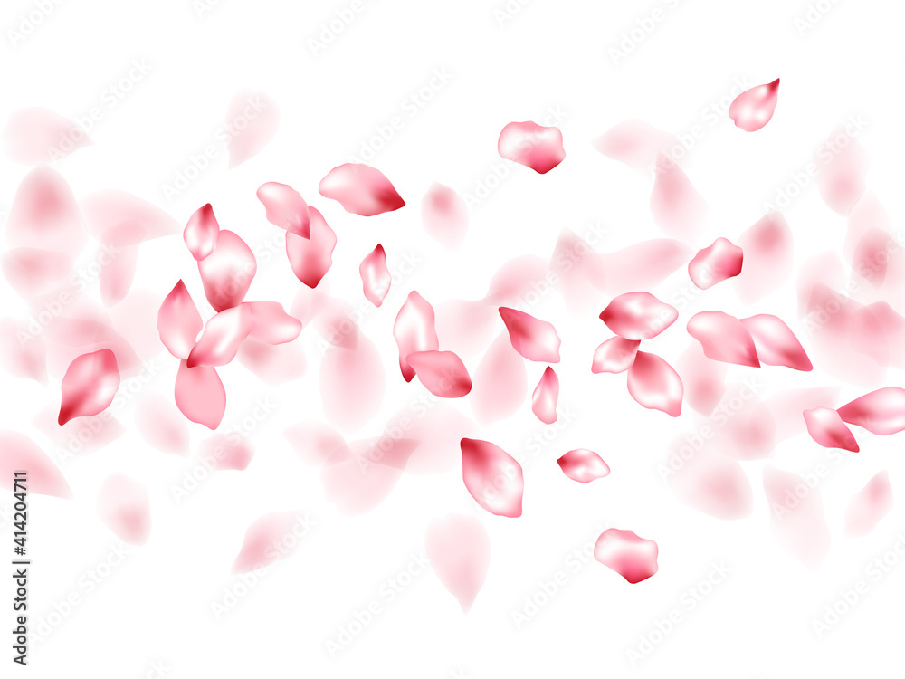 Pink sakura flower flying petals isolated on white vector background.