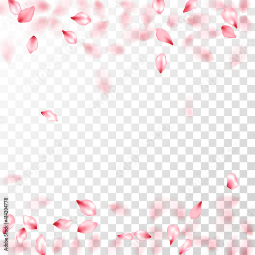Japanese cherry petals on transparent background. © SunwArt