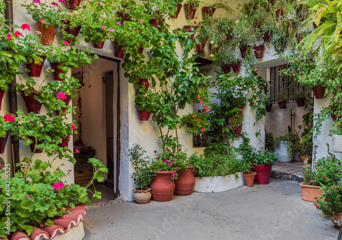 Fototapeta Naklejka Na Ścianę i Meble -  Interior Garden in Cordoba