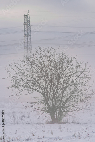 Electric pylon in the Estonian countryside covered in fog and smog shortly after the dawn of a new day, Harku, Estonia photo