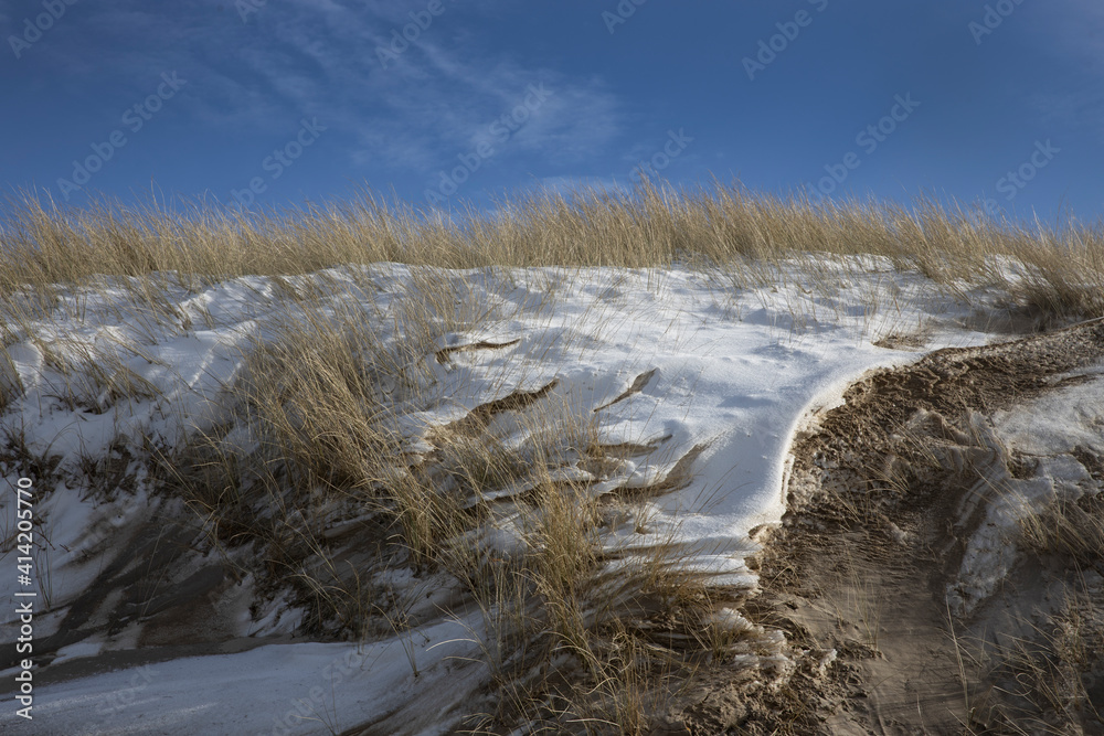 Dunes with snow. Julianadorp Northsea coast Netherlands. Winter.